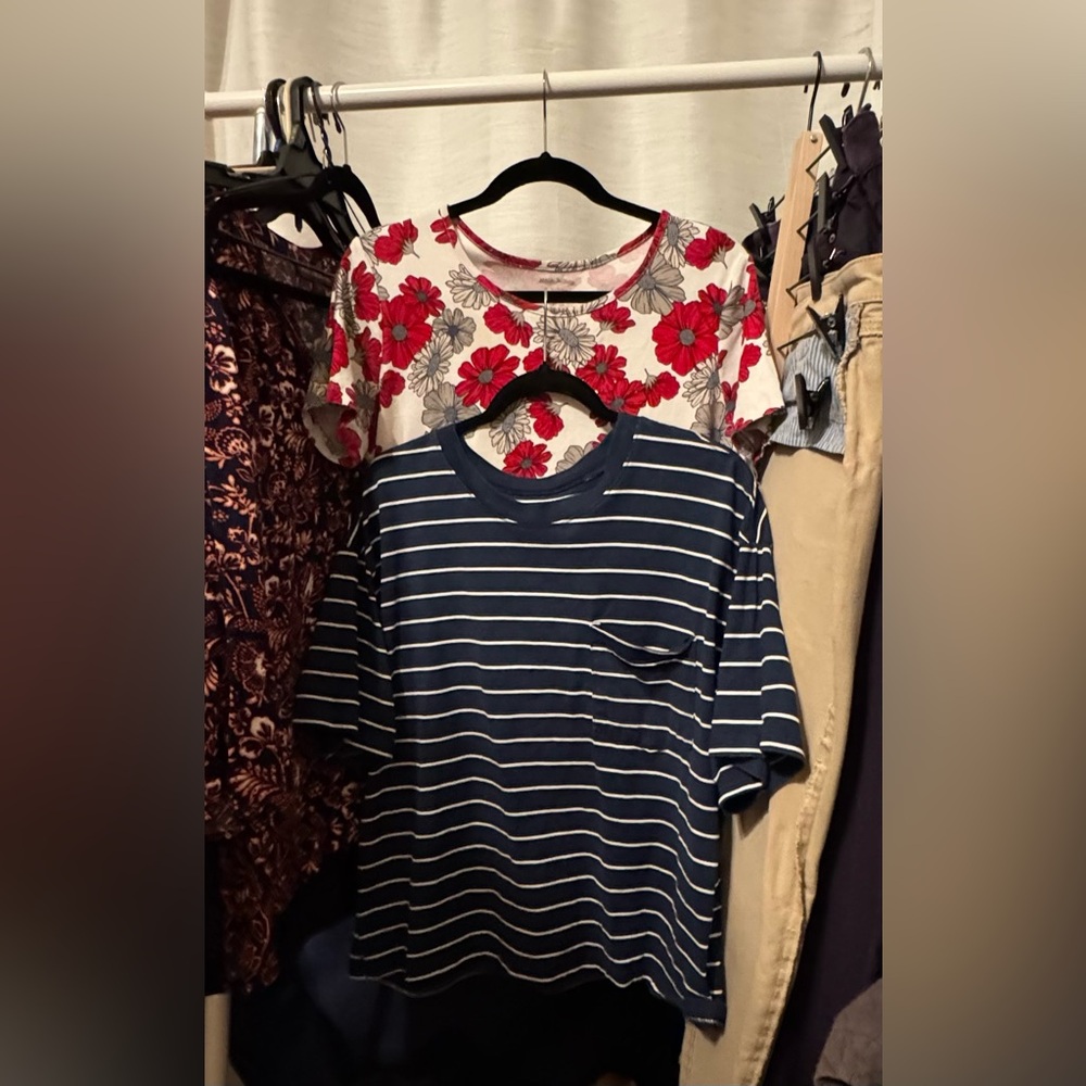 2 cotton t-shirts, gently used.